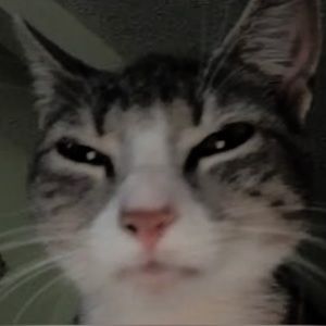 Meet your Posher, Aaliyah